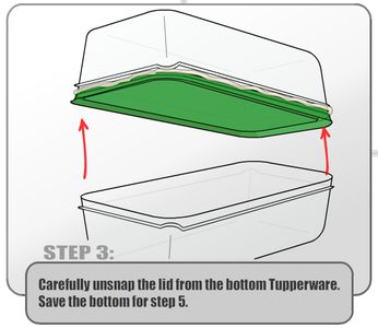 DIY Humidity Dome for Seedlings : 7 Steps (with Pictures) - Instructables