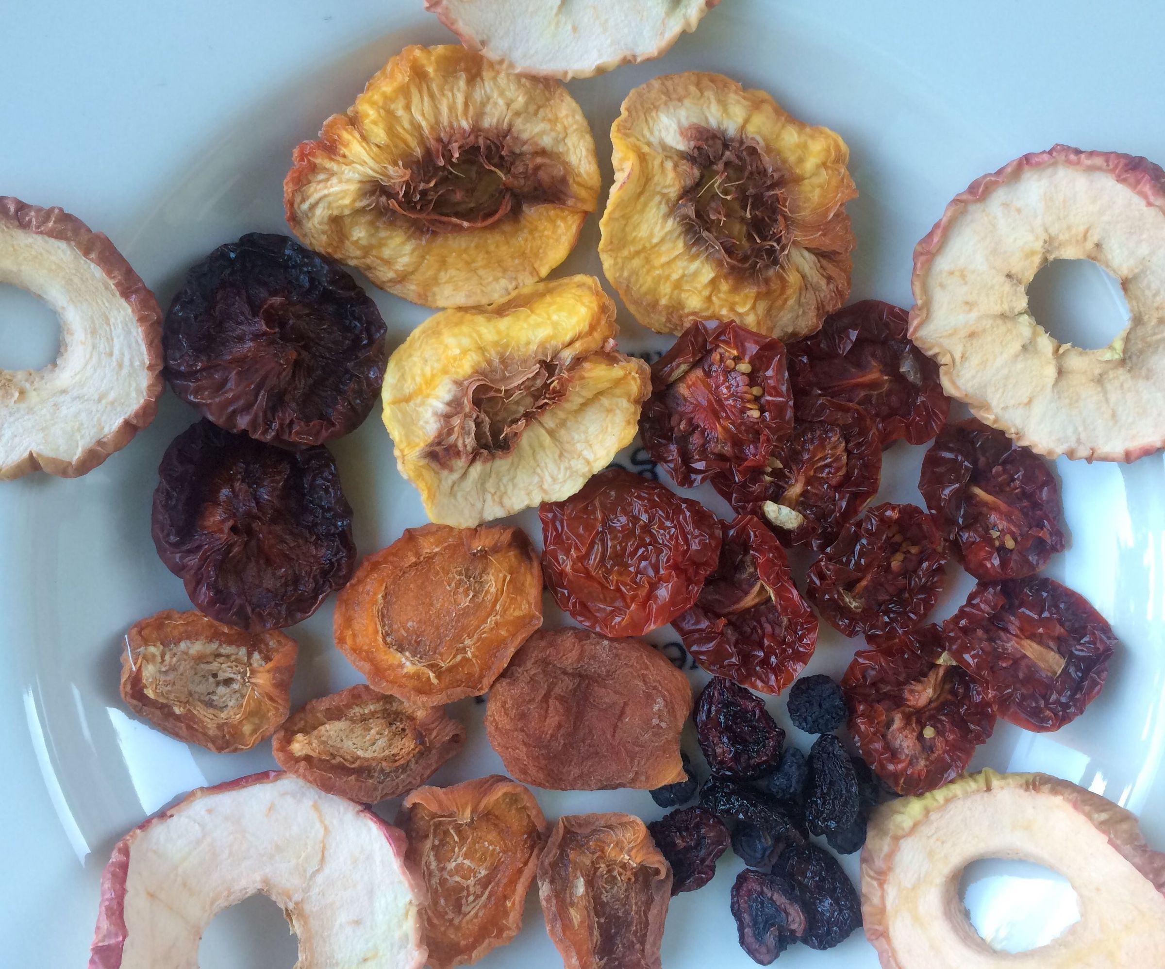 How to Sun Dry Fruit