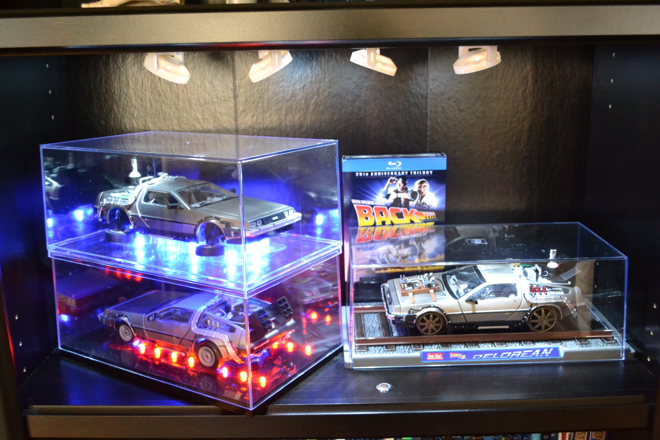 Back to the Future Model DeLorean Interactive Display : 6 Steps