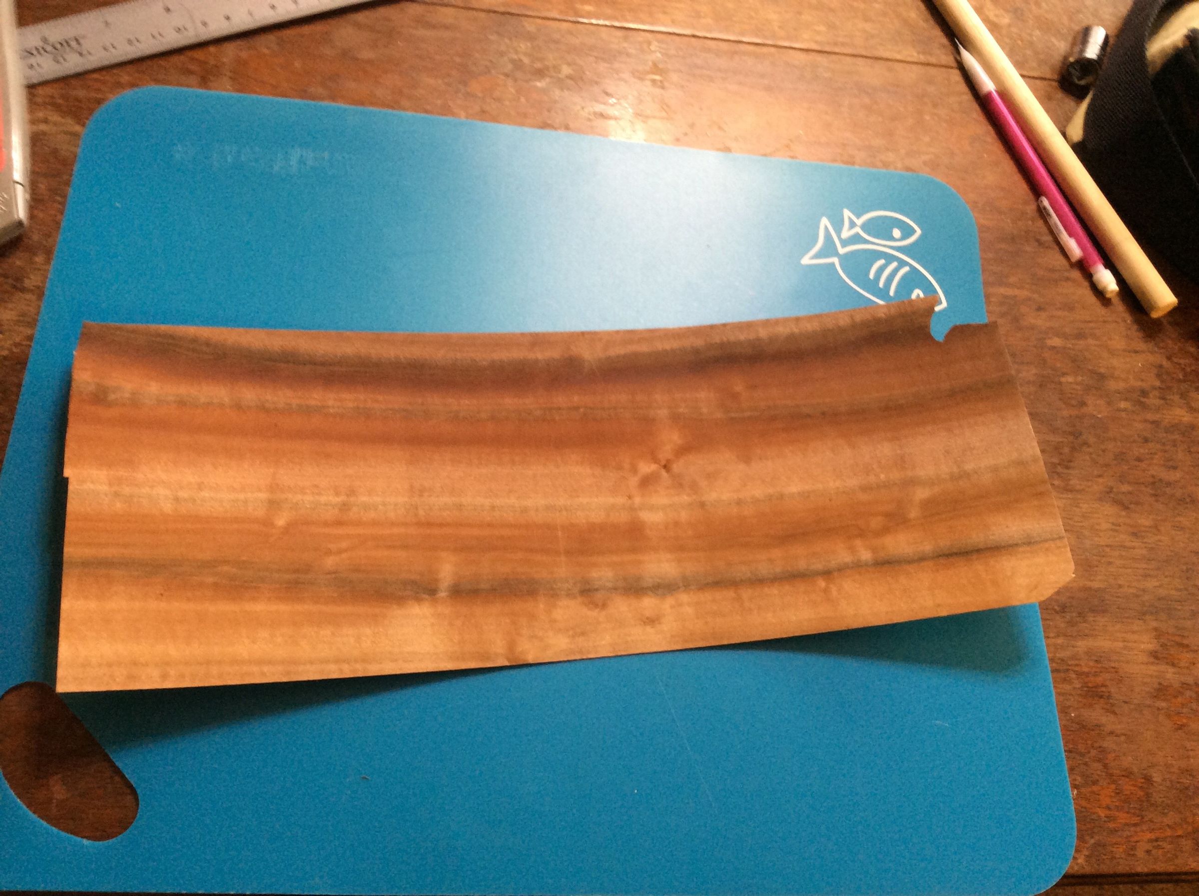 Veneer Ring 9 Steps Instructables