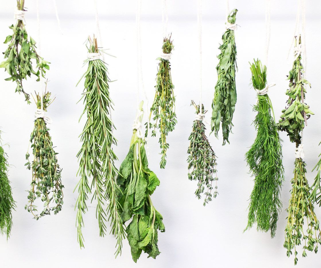 How to Dry Herbs