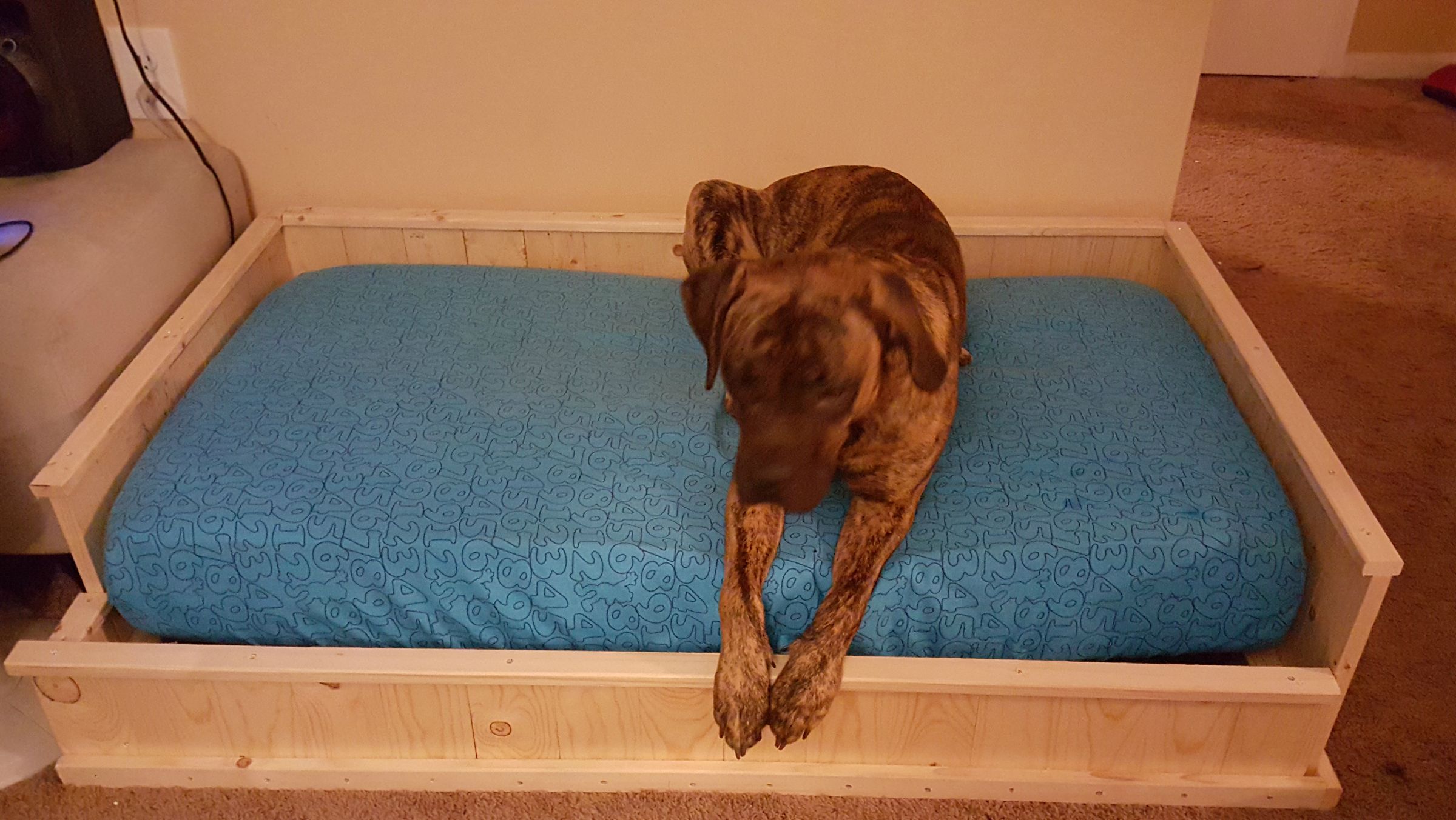 Cheap Dog Bed DIY, Baby Mattress Upcycle 11 Steps Instructables