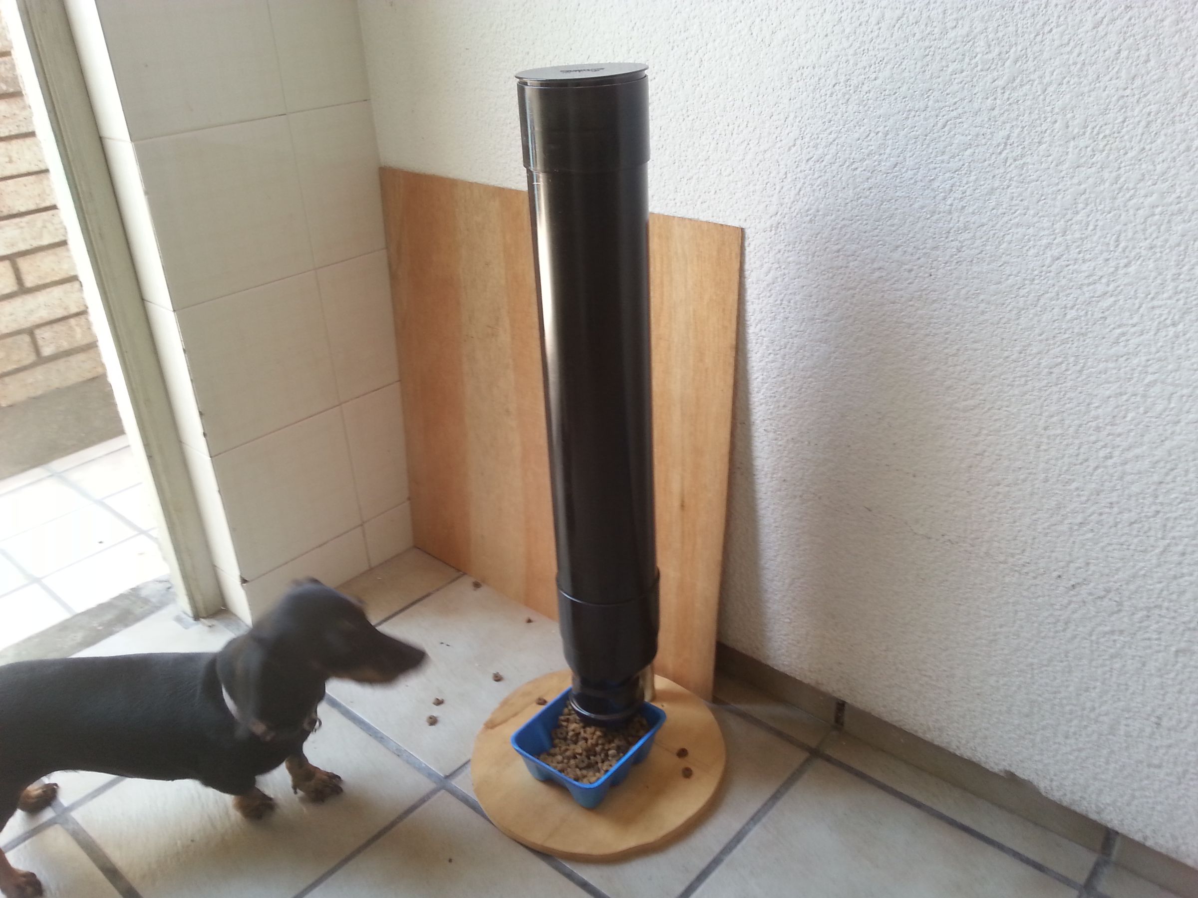 Auto Pet Feeder 4 Steps Instructables