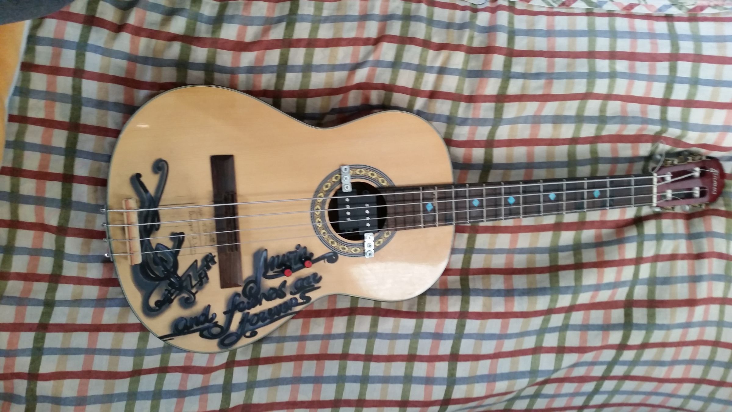 Acoustic Guitar to Electric Bass Guitar Conversion 5 Steps