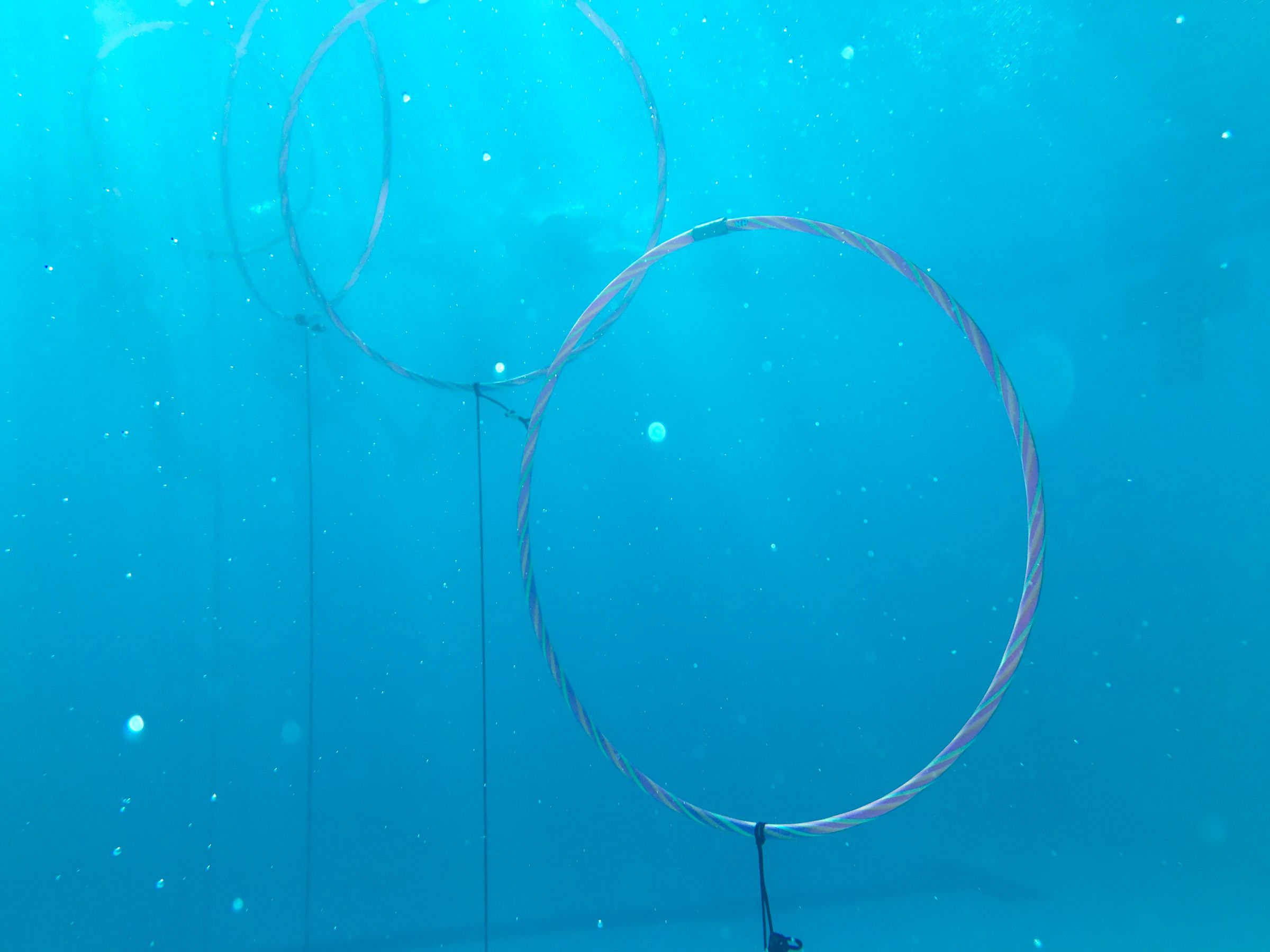 Underwater Diving Rings 9 Steps (with Pictures) Instructables