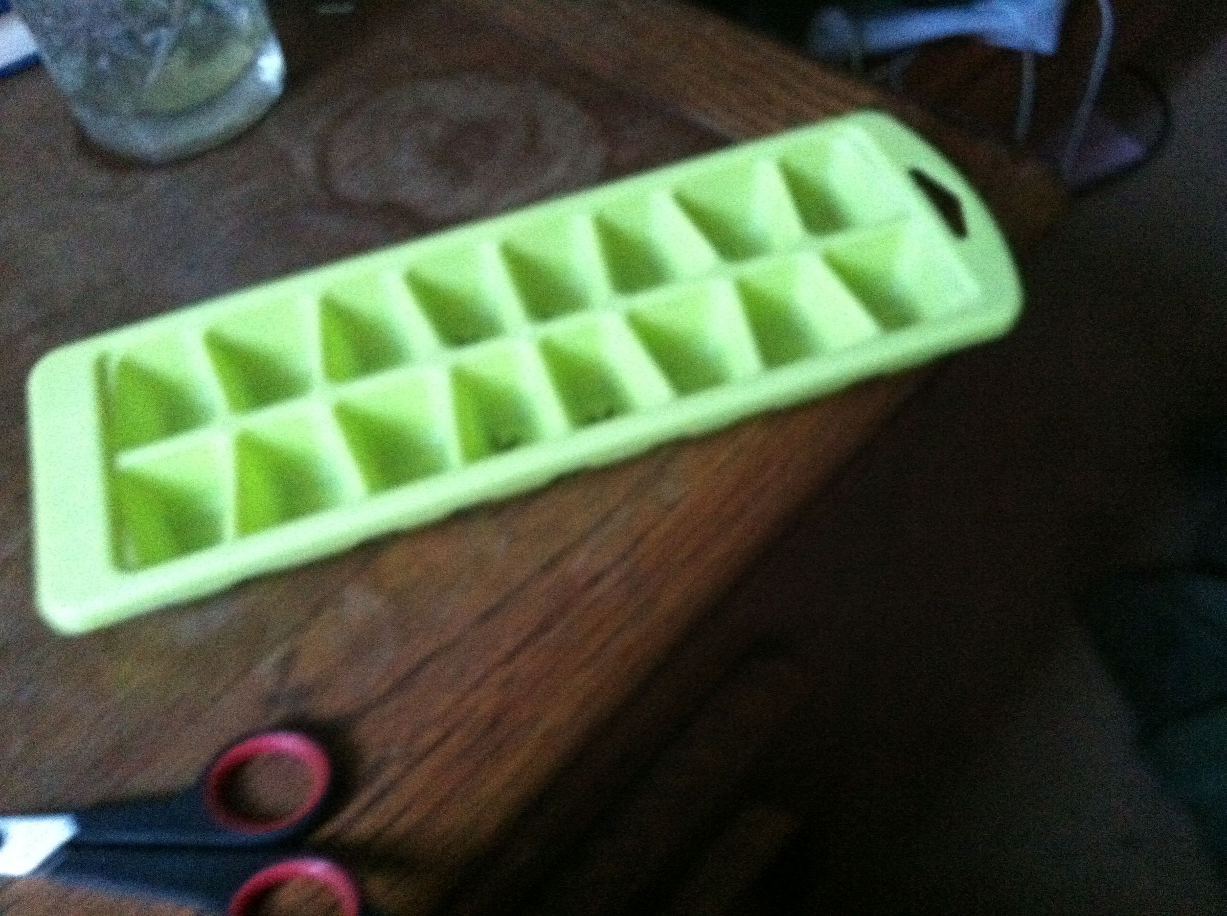 Preserve Insects in Resin 6 Steps (with Pictures) Instructables