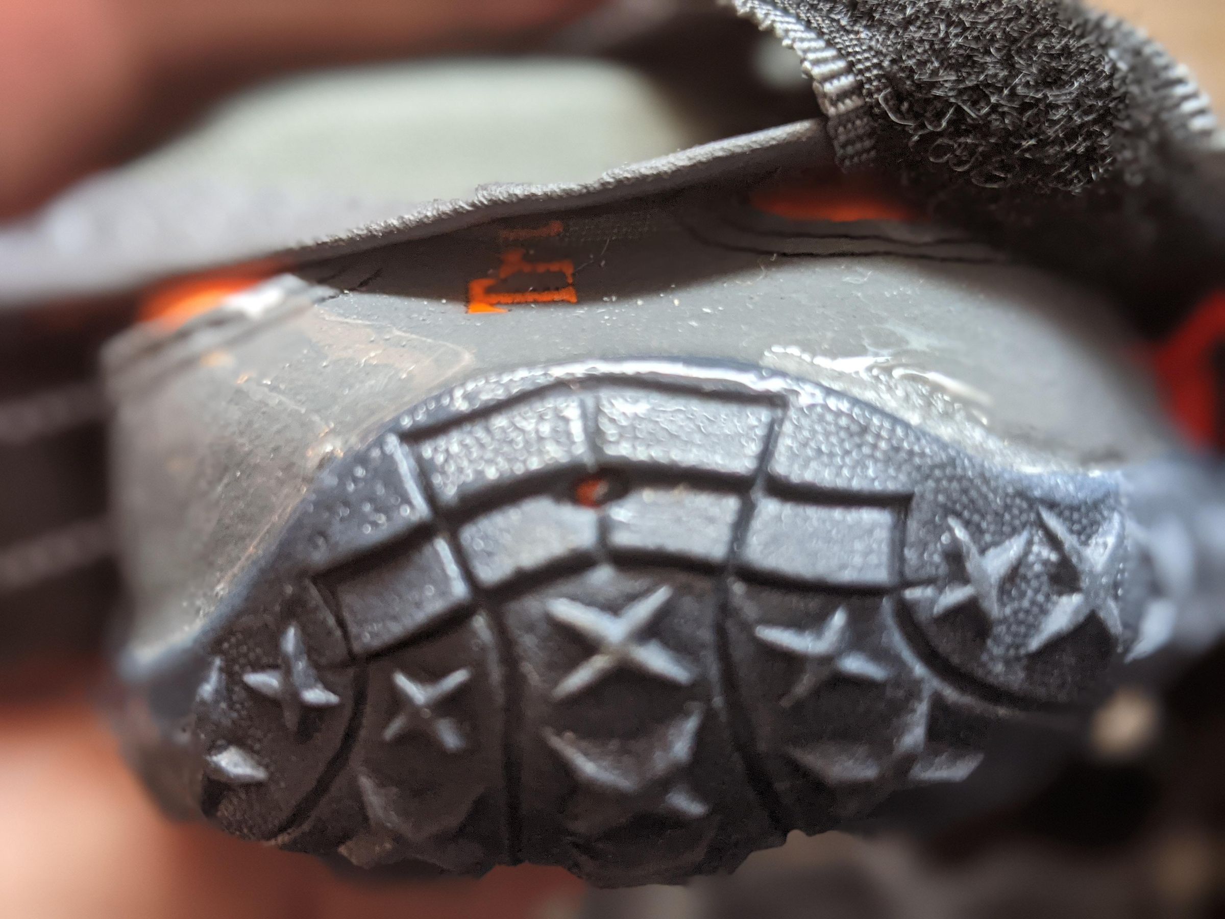 AntiKnucking Shoes for Dogs With Degenerative Myelopathy 7 Steps