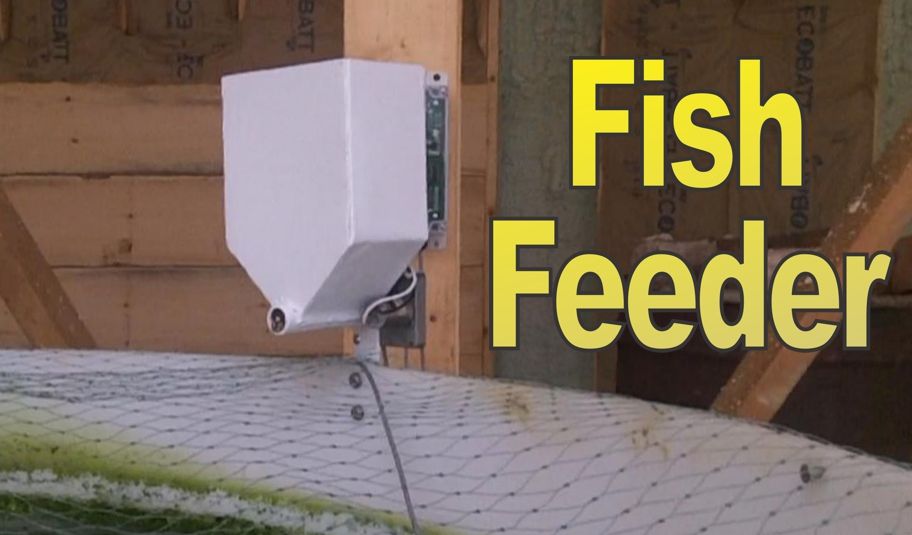 automatic catfish feeder