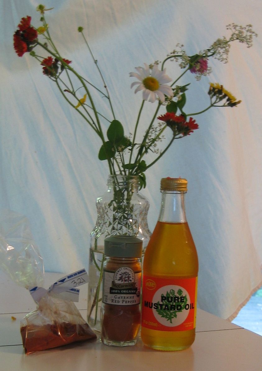 cayenne dog repellent