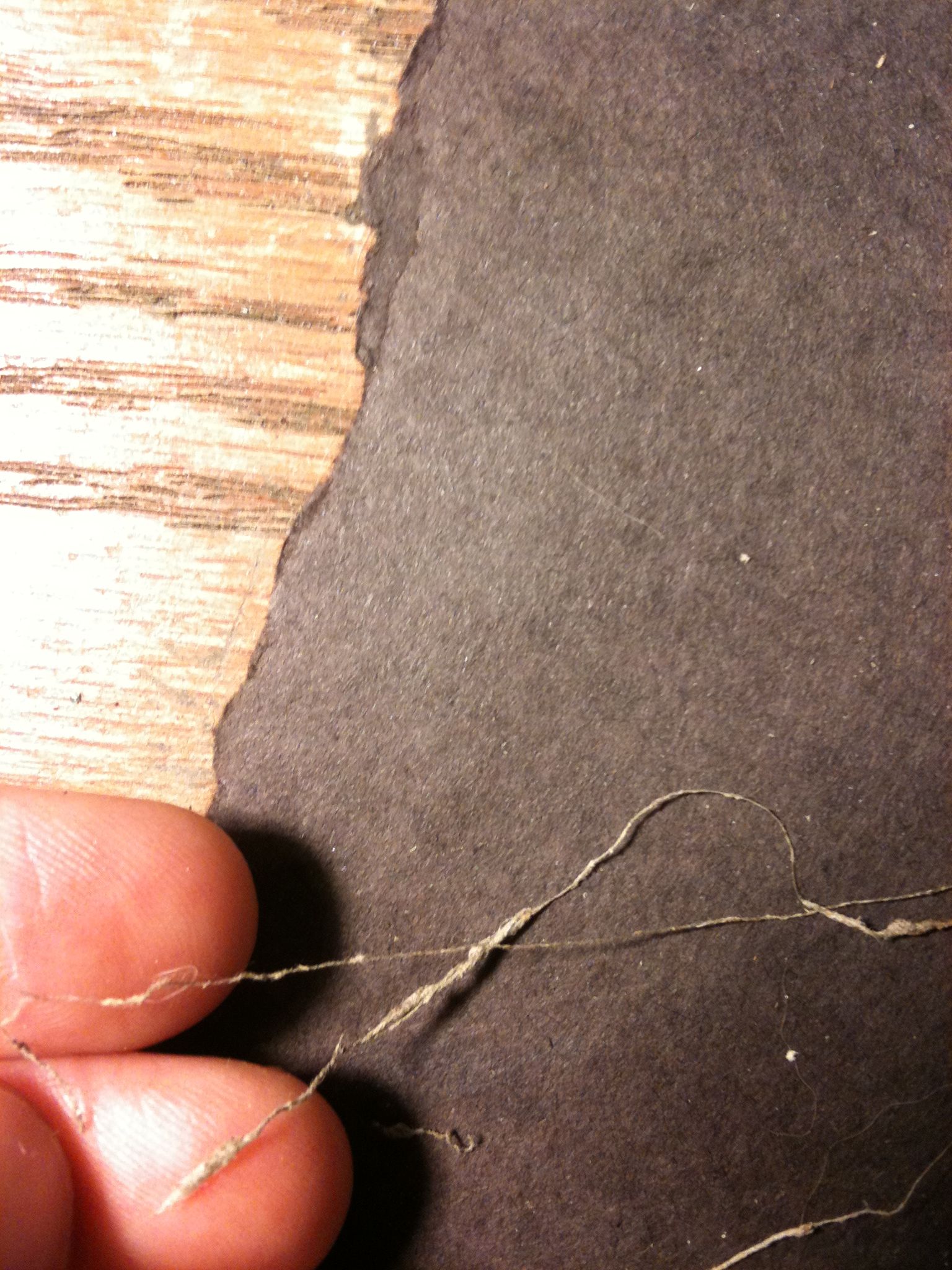 How to Make Spider Silk Thread 8 Steps (with Pictures) Instructables