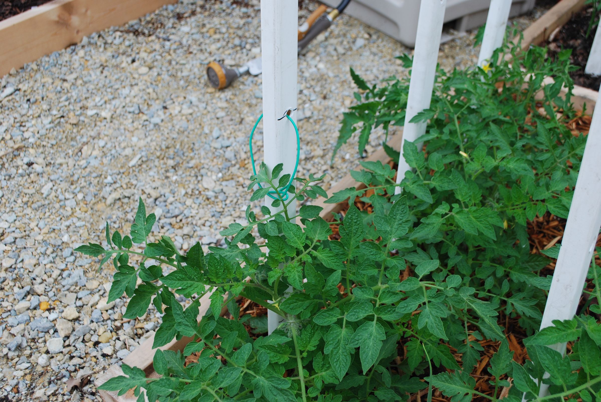 Tomato Stakes From Repurposed Fence 9 Steps (with Pictures