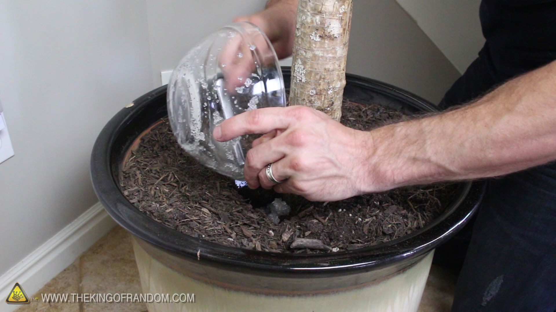 Diapers Help Your Plants Grow! 6 Steps (with Pictures) Instructables