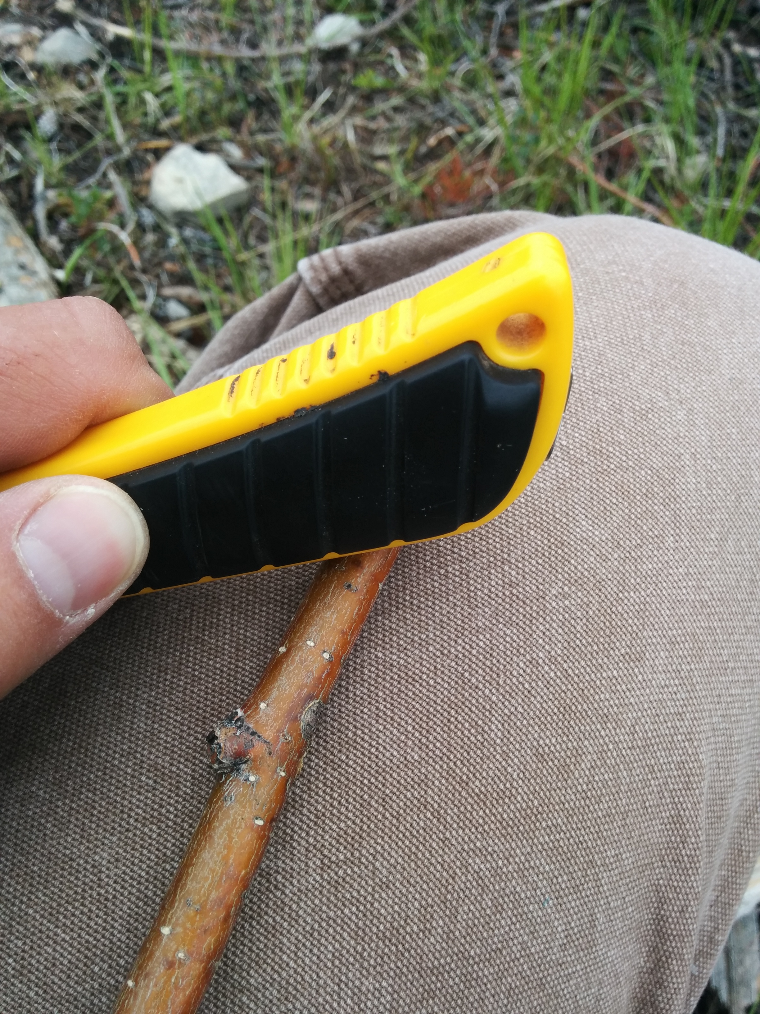 Stick Bark Whistle 10 Steps (with Pictures) Instructables