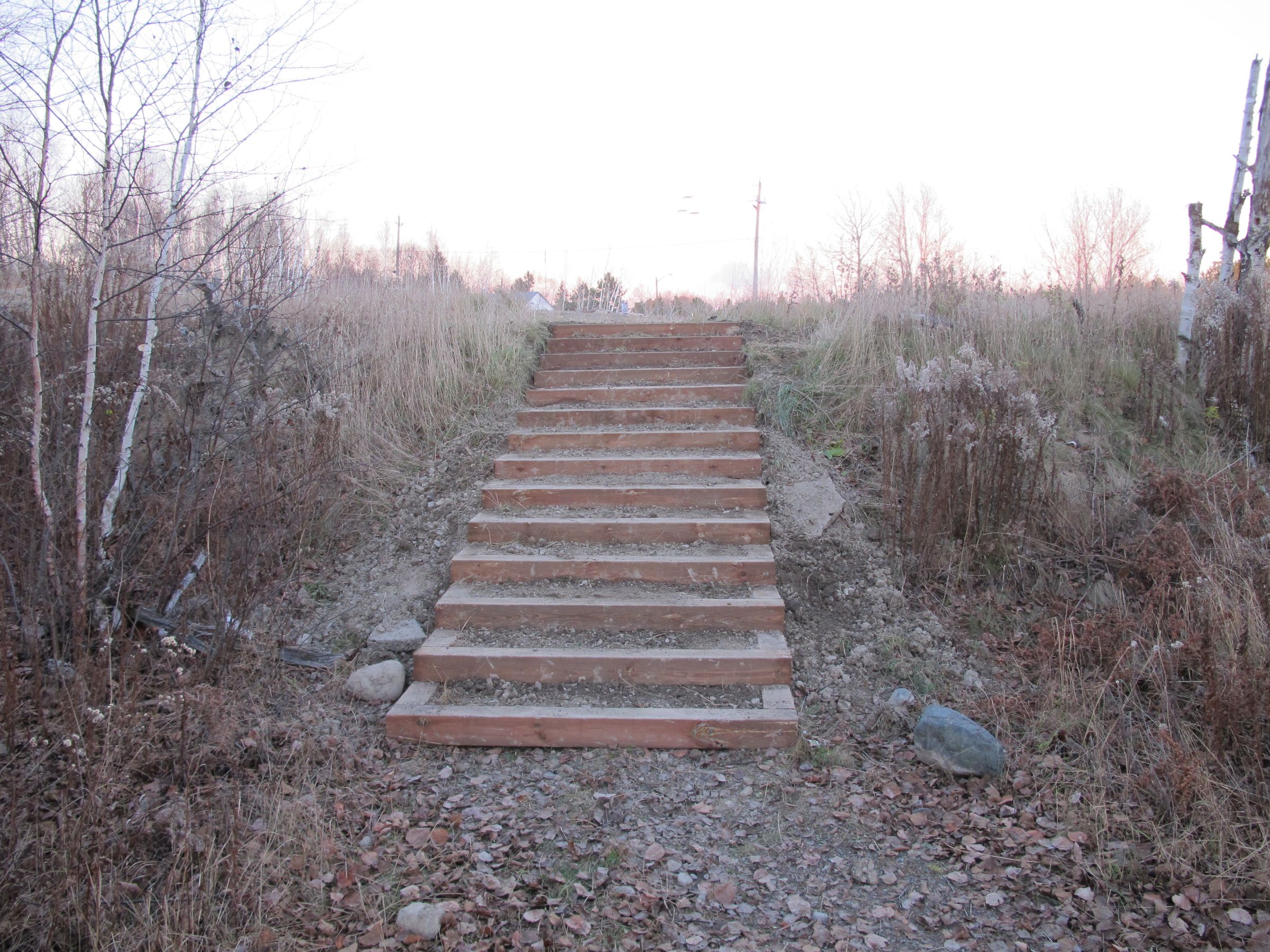 Outdoor Rustic Stairs : 3 Steps (with Pictures) - Instructables