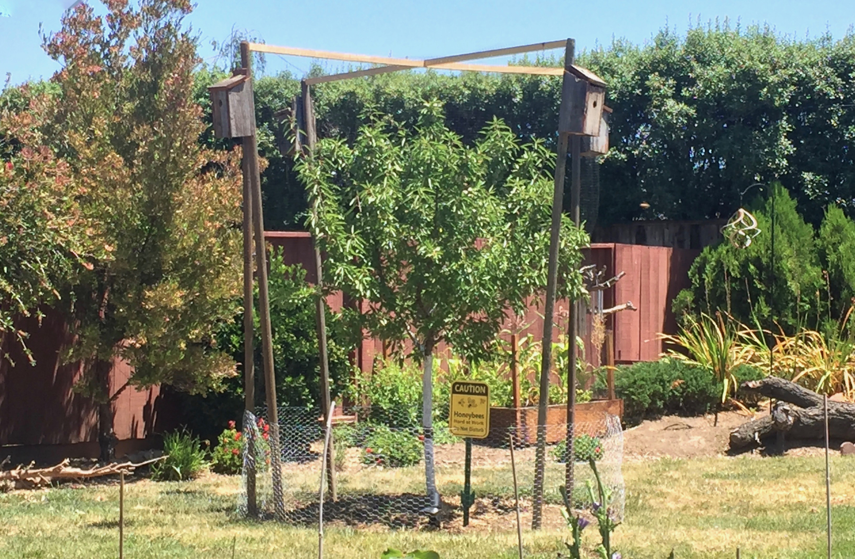 Fruit Tree Cage 8 Steps (with Pictures) Instructables