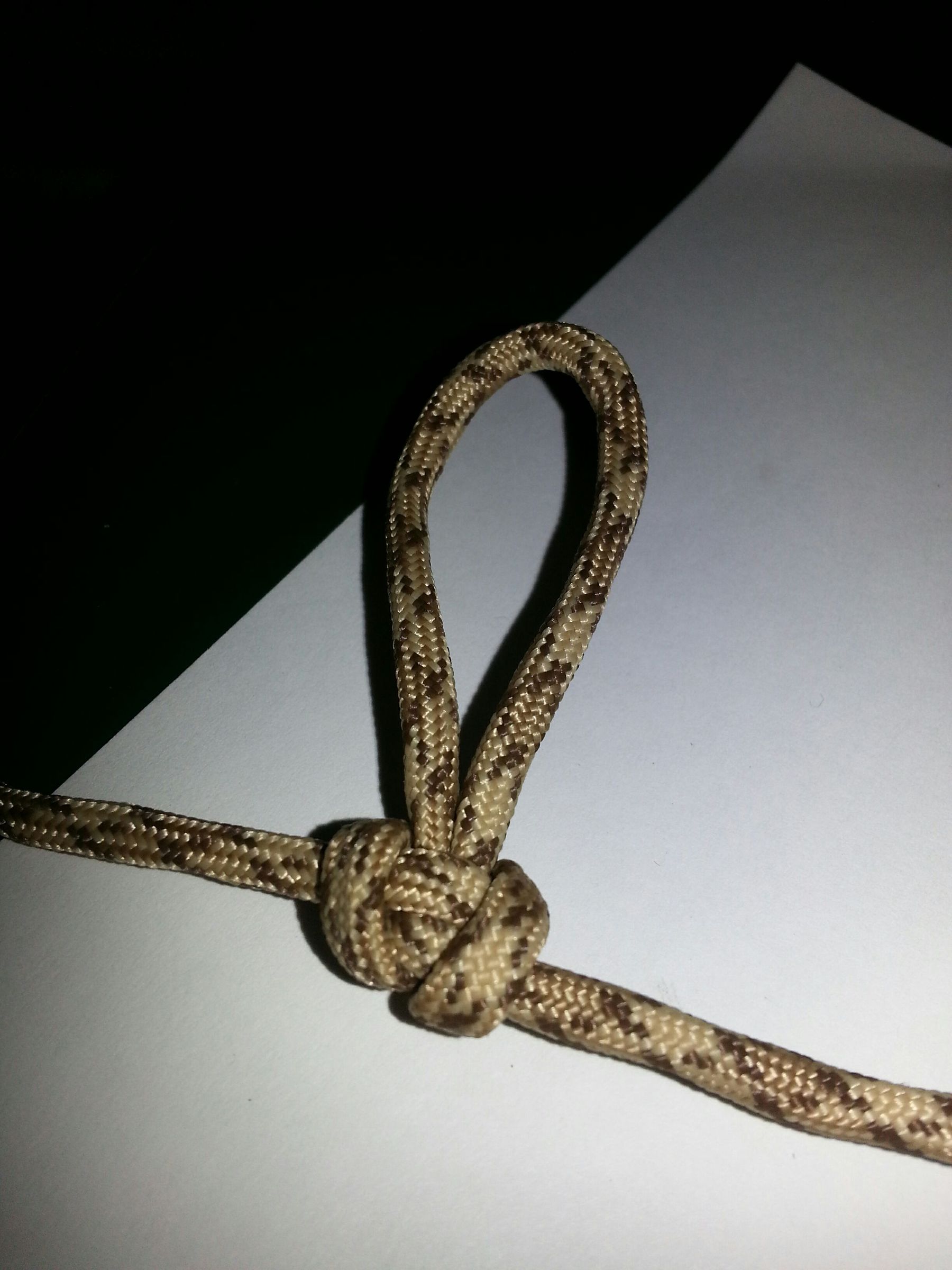How To Tie An Alpine Butterfly Loop Instructables