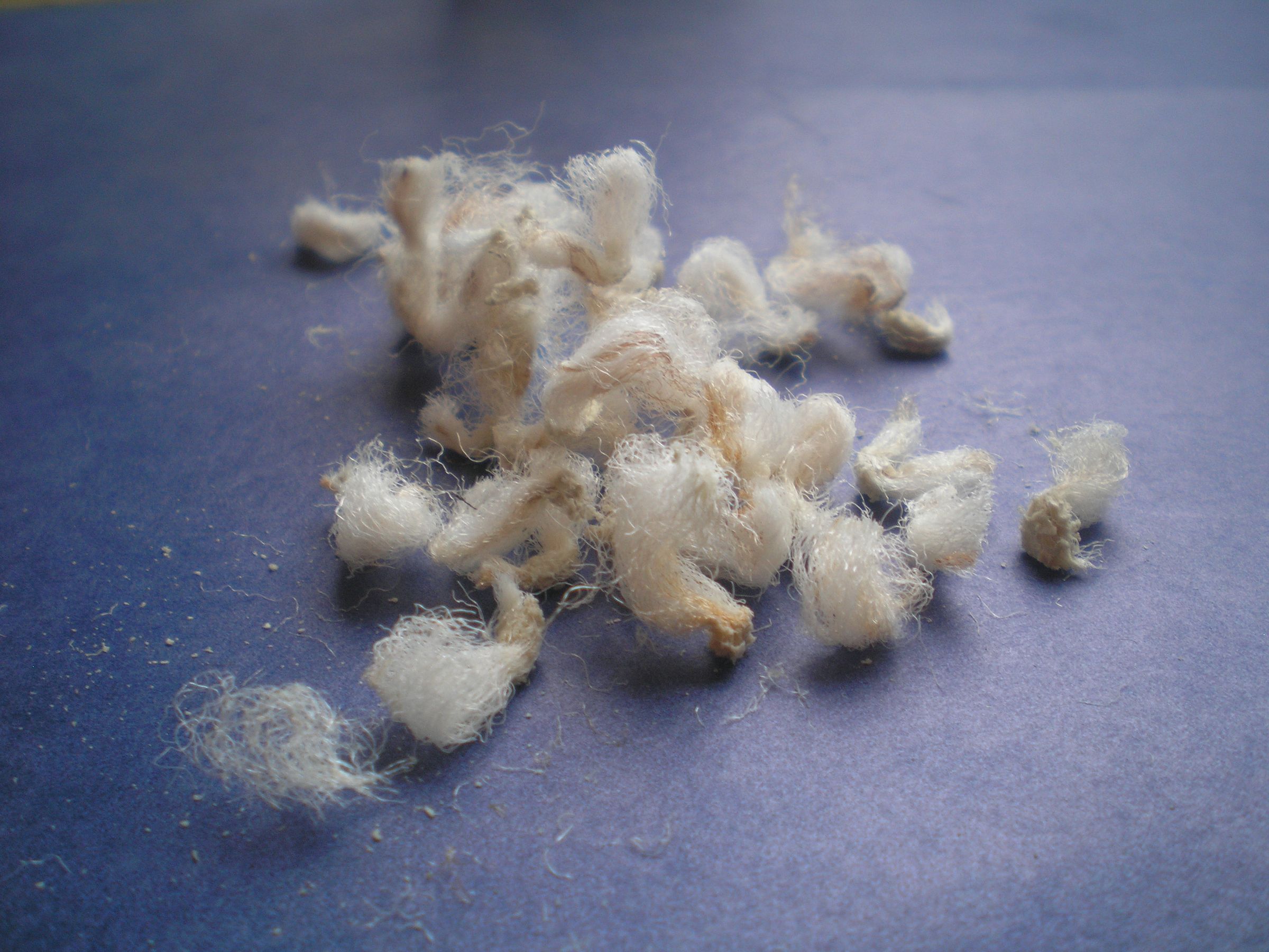 Repair Cigarette Burns on Carpet 4 Steps (with Pictures) Instructables