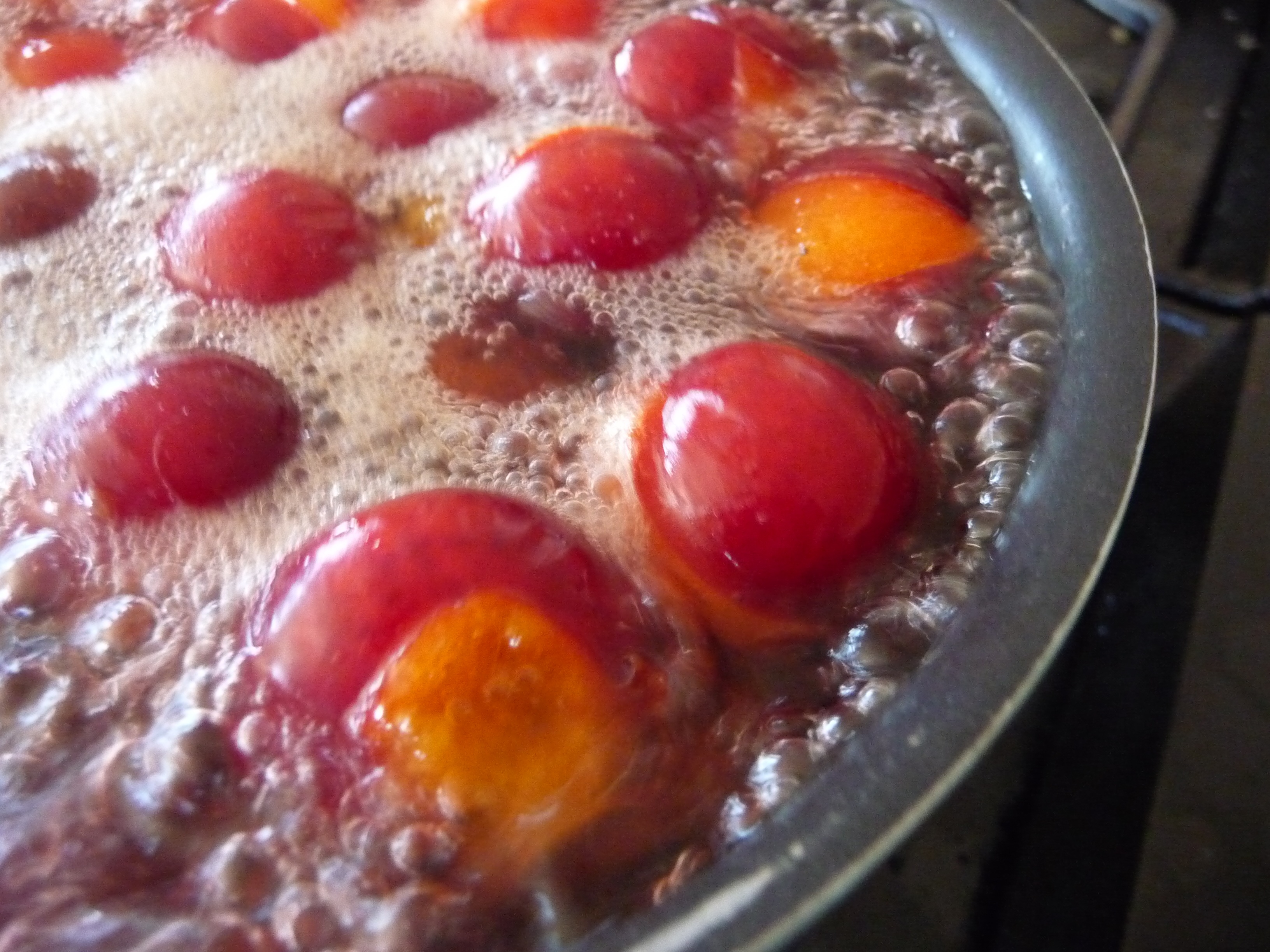 Wild Plum Jam (with Pictures) Instructables