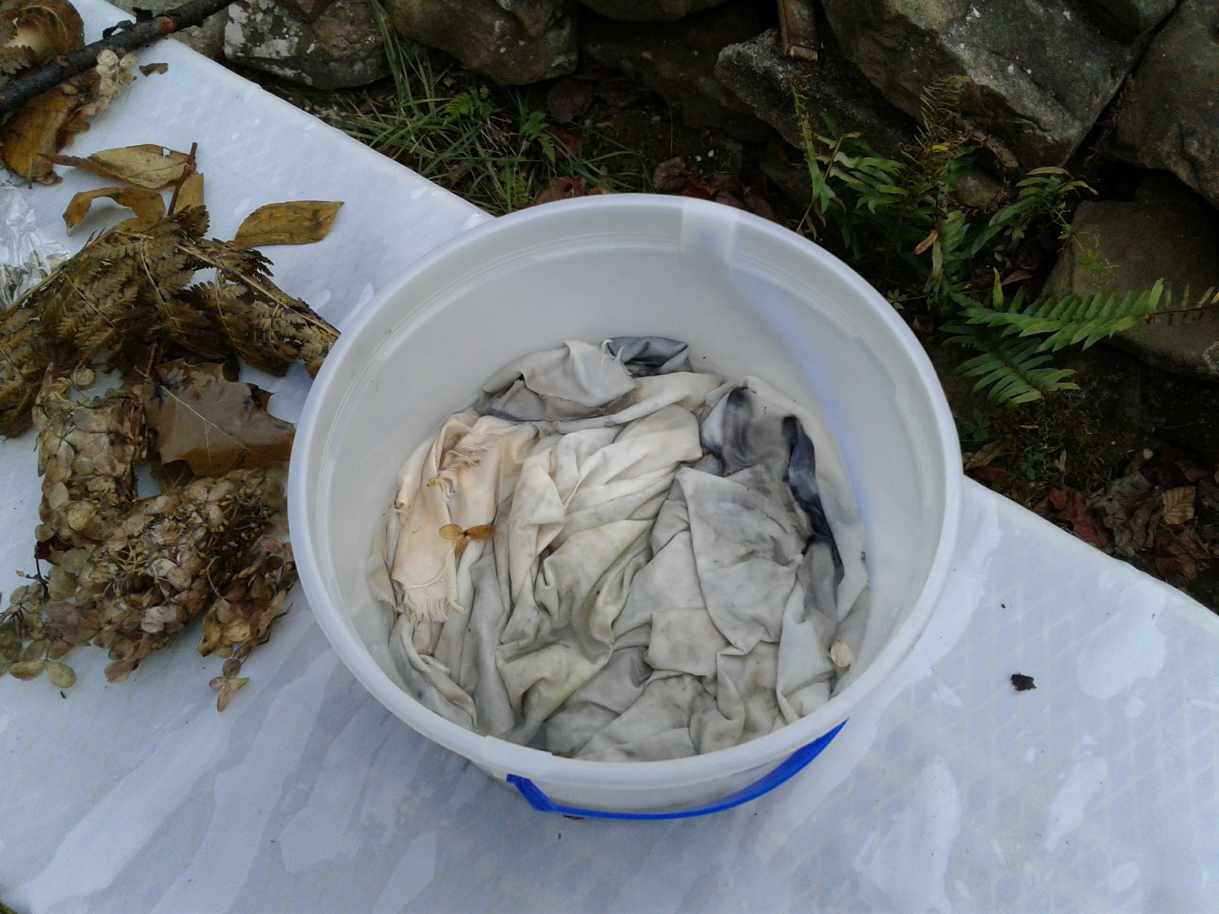 EcoPrinting With Rust & Vinegar 6 Steps (with Pictures) Instructables