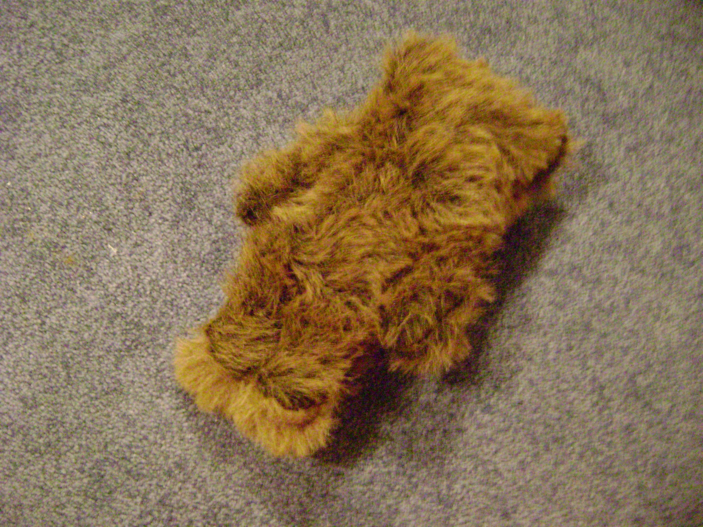 How to Make a Stuffed Animal 6 Steps Instructables