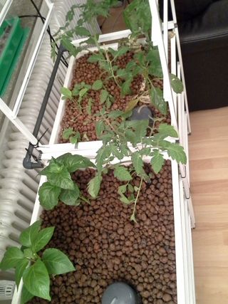 indoor mini aquaponics system ikea-hack : 5 steps with