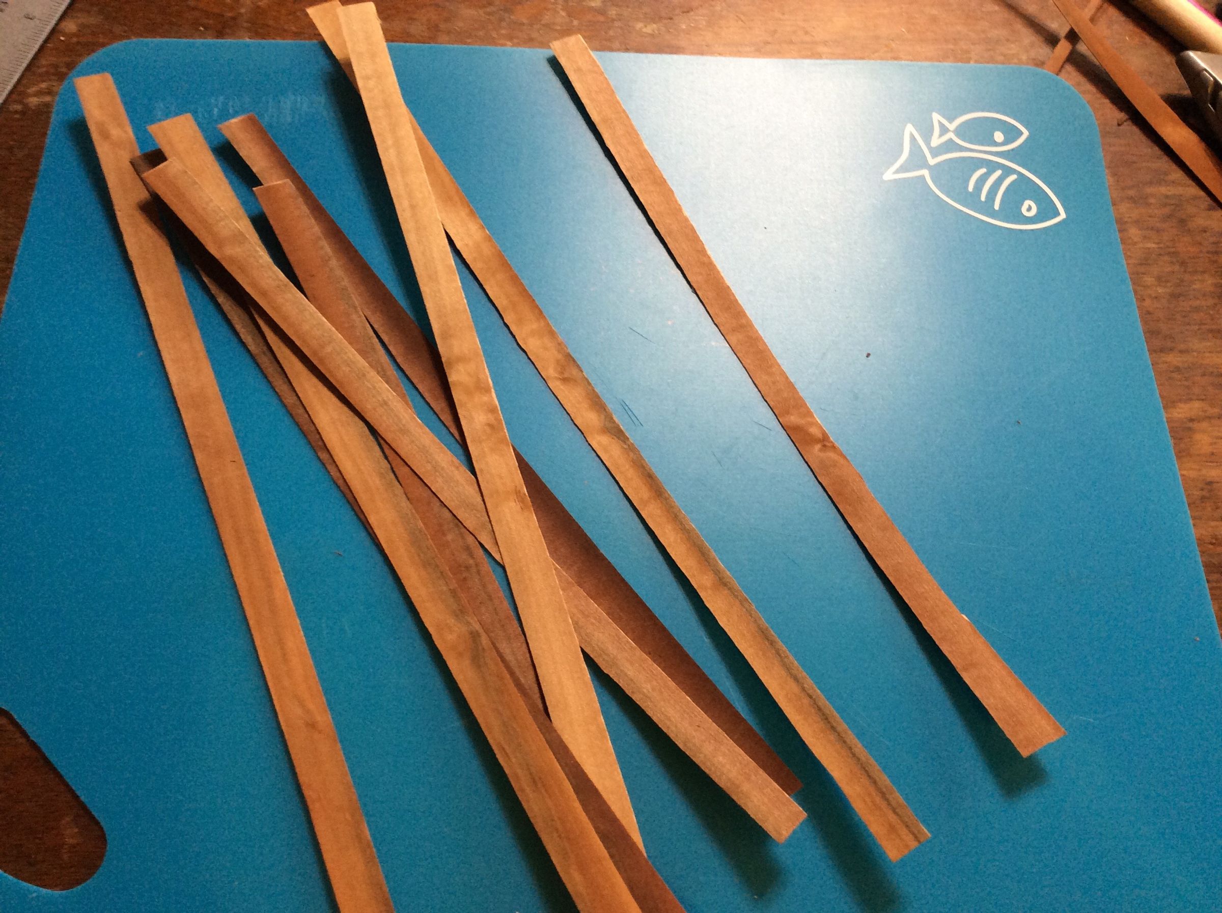 Veneer Ring 9 Steps Instructables