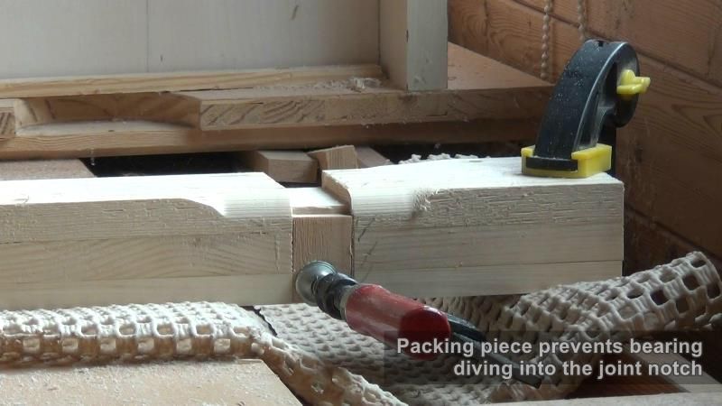 Articulações das Pernas