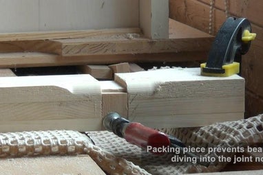 Articulações das Pernas