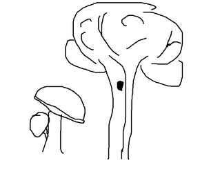 rotary encoder with arduino uno r3 DIY Project to Discover - FindingDIY