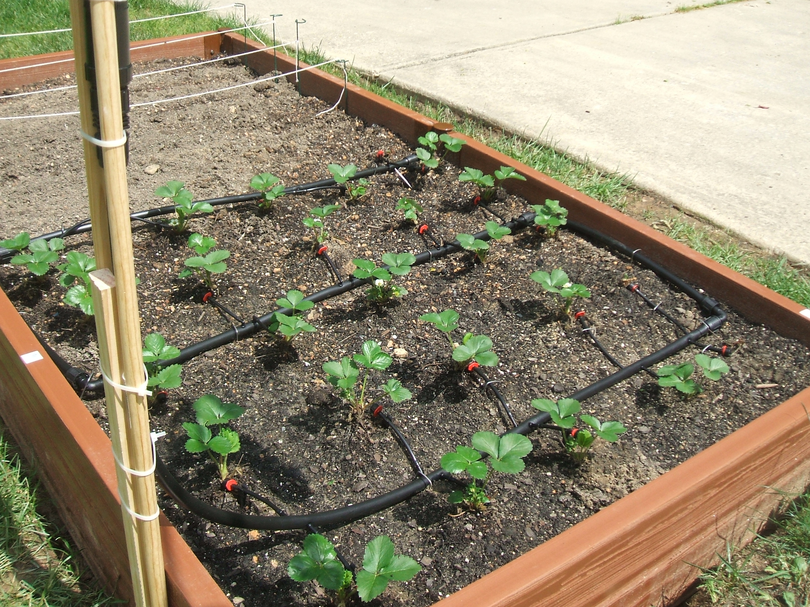 Drip Irrigation! Save the World by Saving Water! Instructables