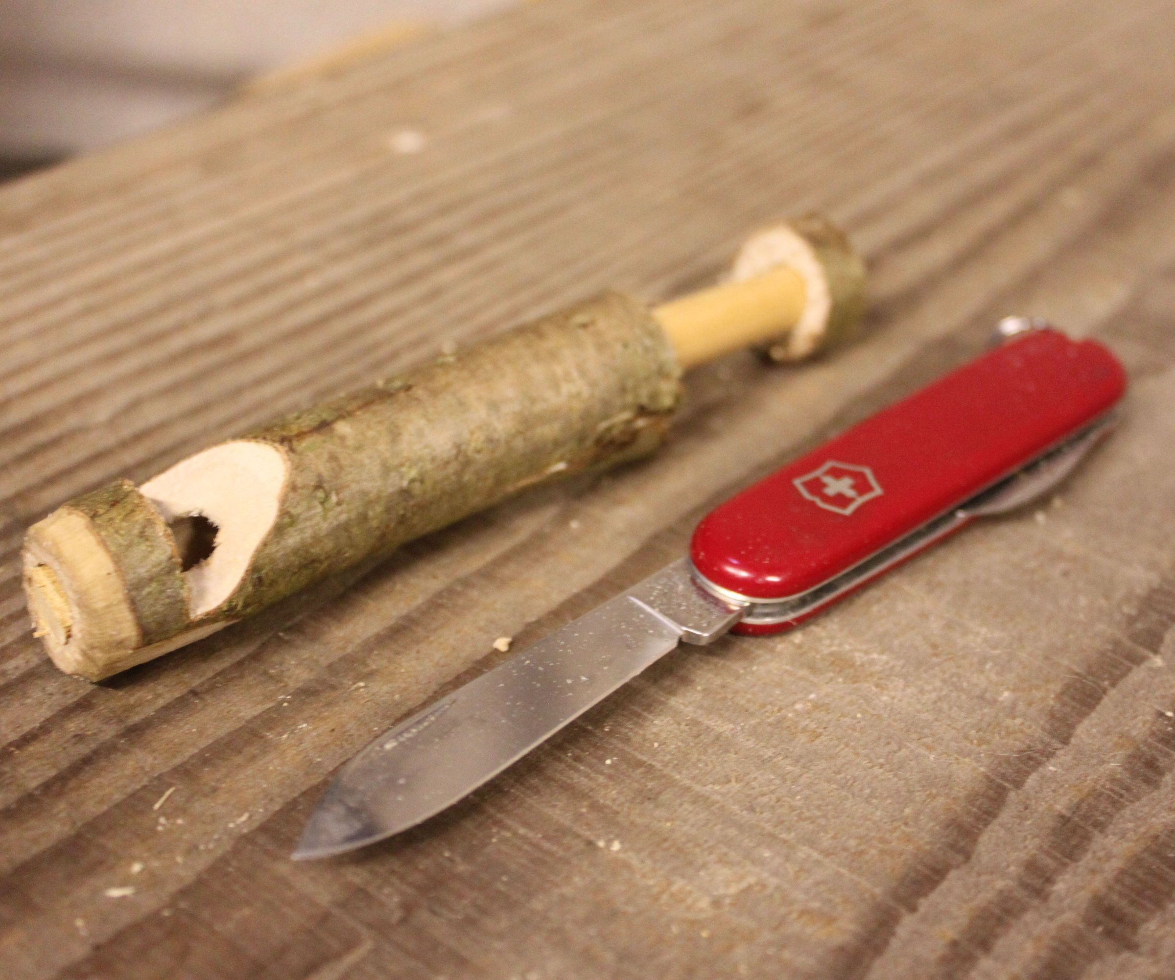 *hand carved* sliding whistle DIY Project DIY Project Image