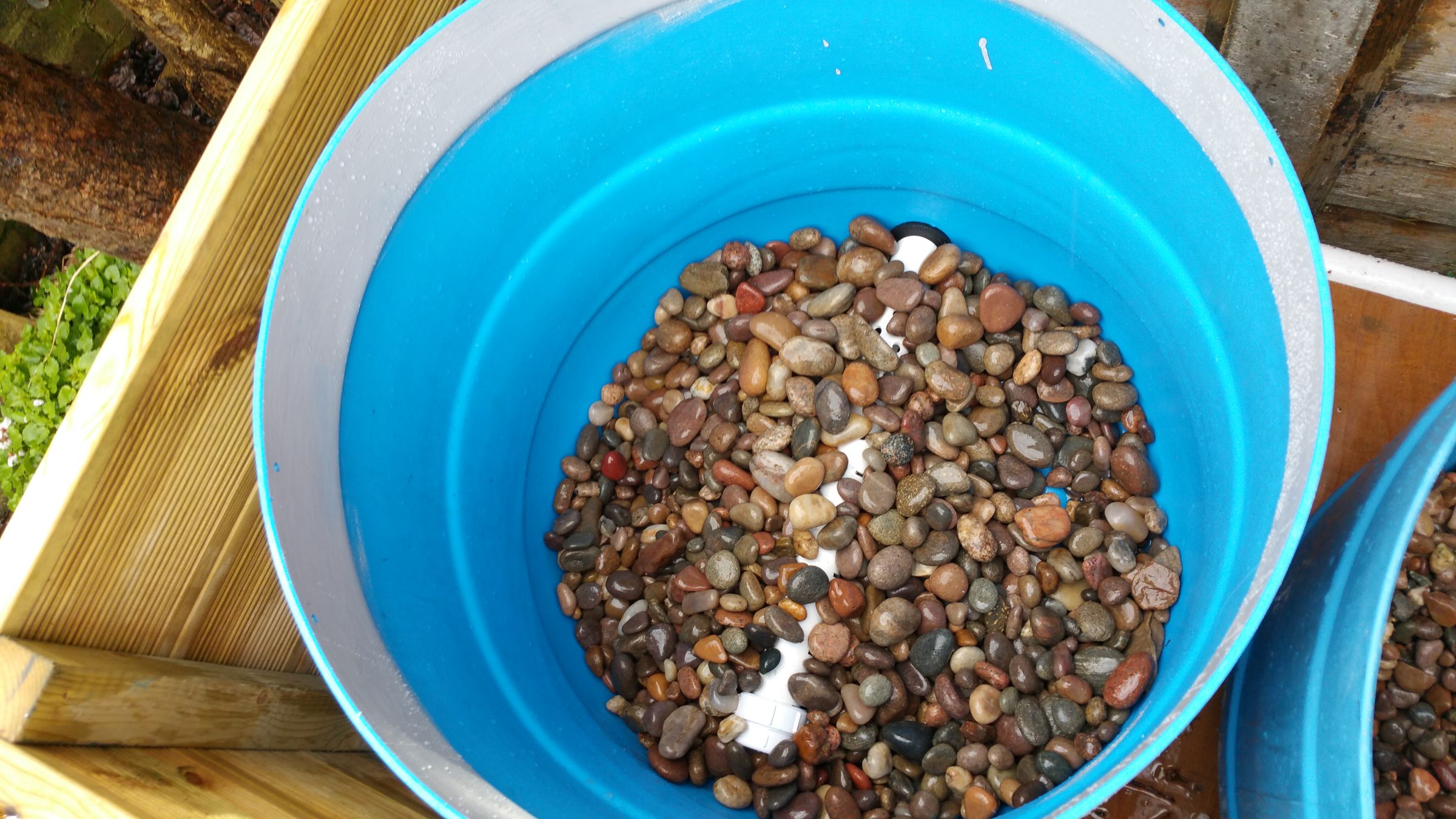 Fruit Trees in Aquaponics Using Dutch Buckets 6 Steps (with Pictures