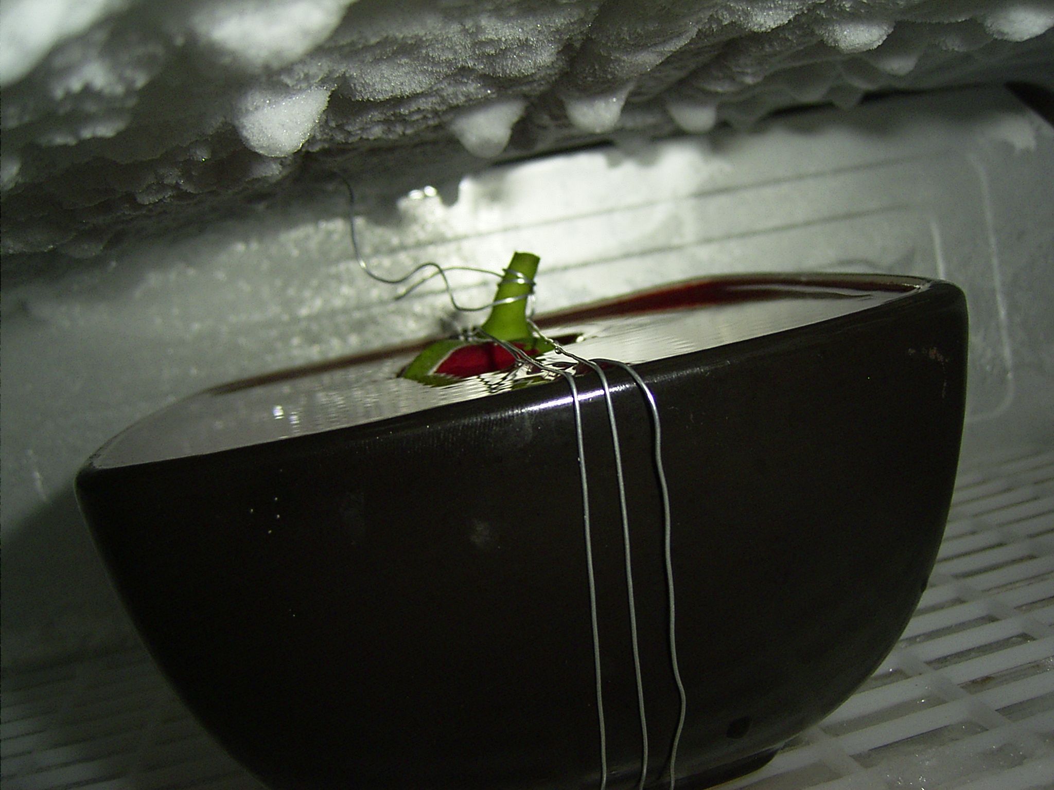 Rose in a Heart of Ice 11 Steps (with Pictures) Instructables