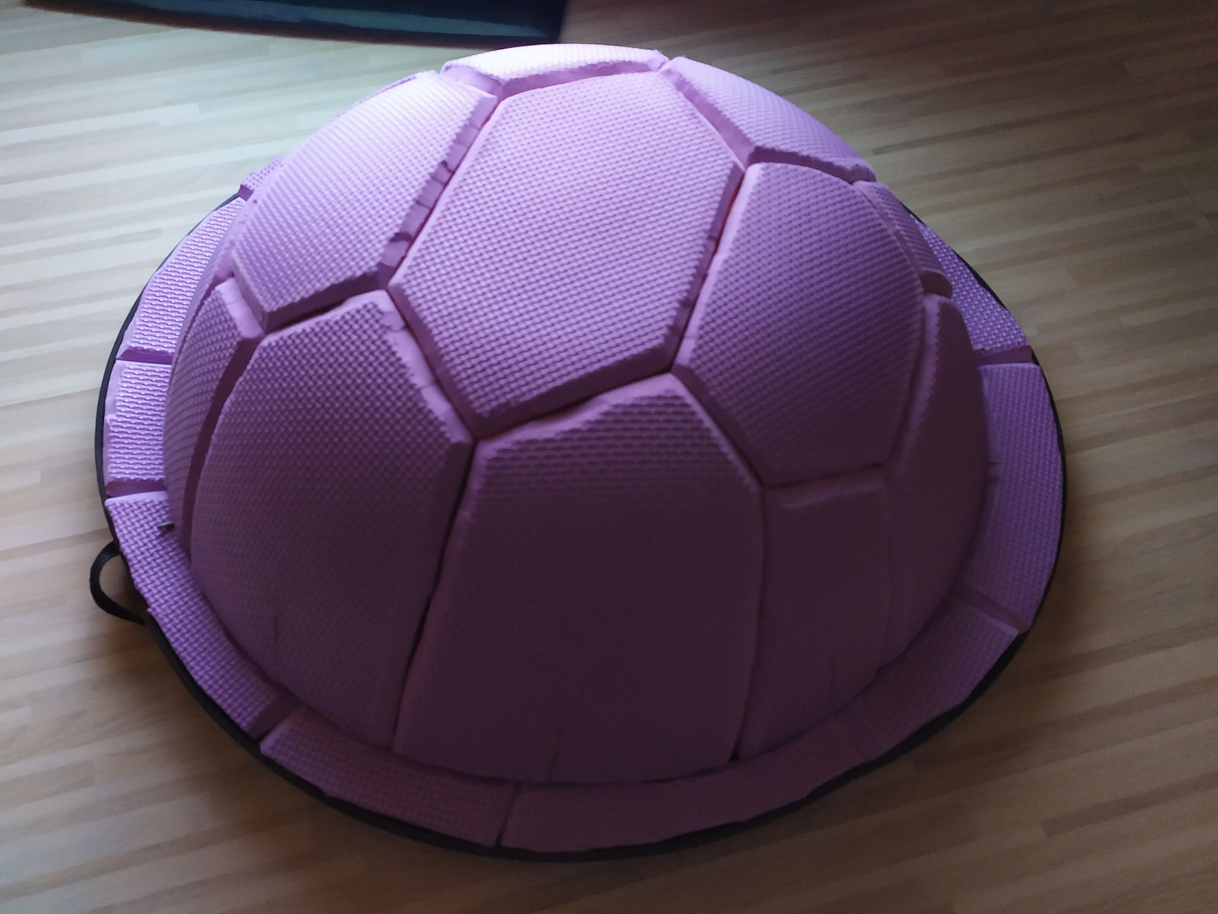 master roshi turtle shell backpack