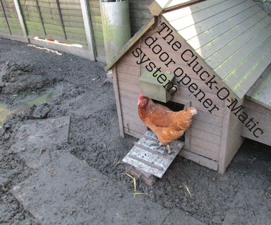 Automatic Chicken Door Opener With PICAXE