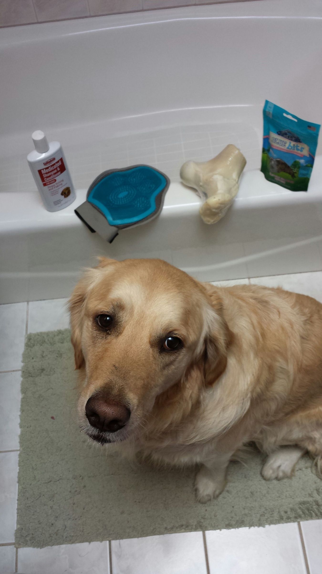 How to Wash Your Dog 7 Steps (with Pictures) Instructables