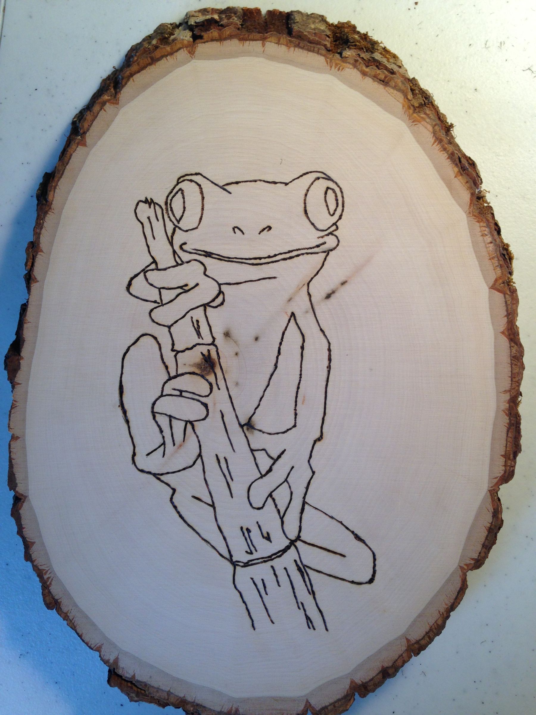 Wood-burning of Tree Frog on Natural Edged Wood : 19 Steps - Instructables