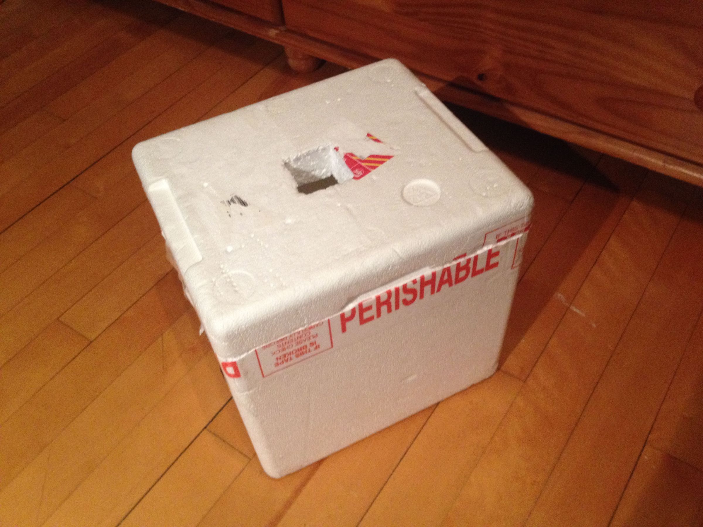 homemade peltier module