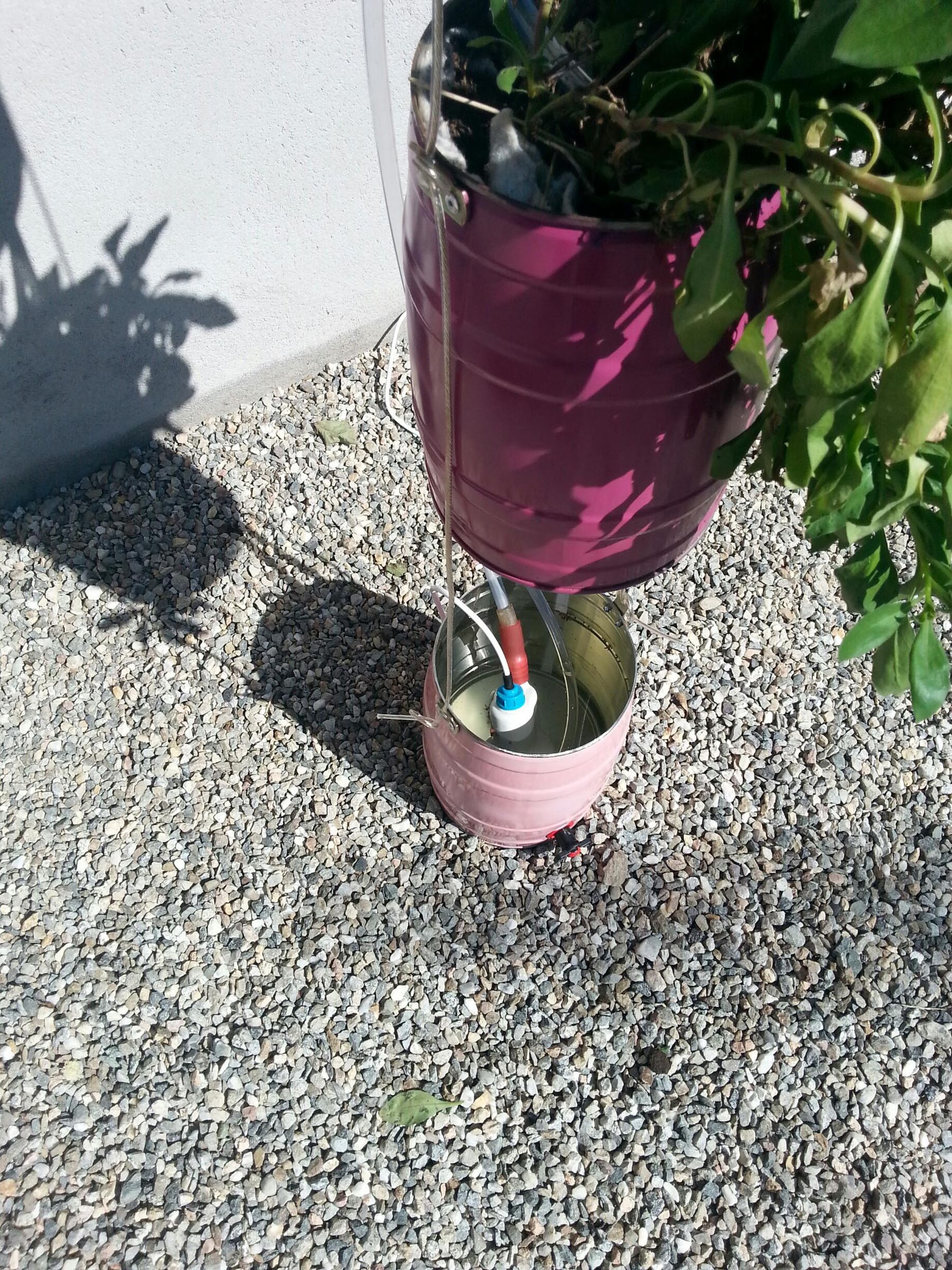 5l Beer Keg Planter VERTICAL GARDEN UPGRADE 7 Steps (with Pictures