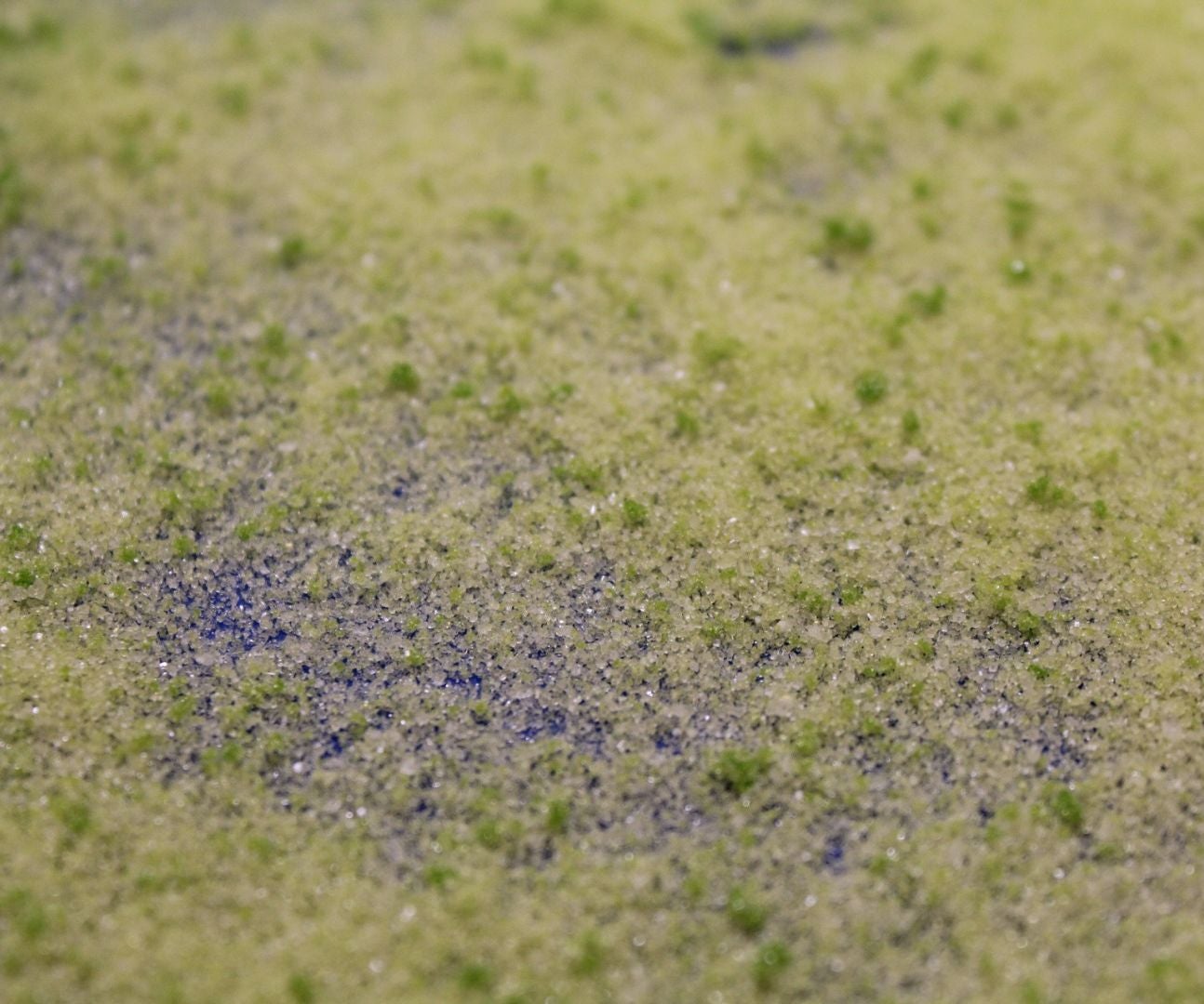 How to Make Edible Glitter 3 Steps (with Pictures) Instructables