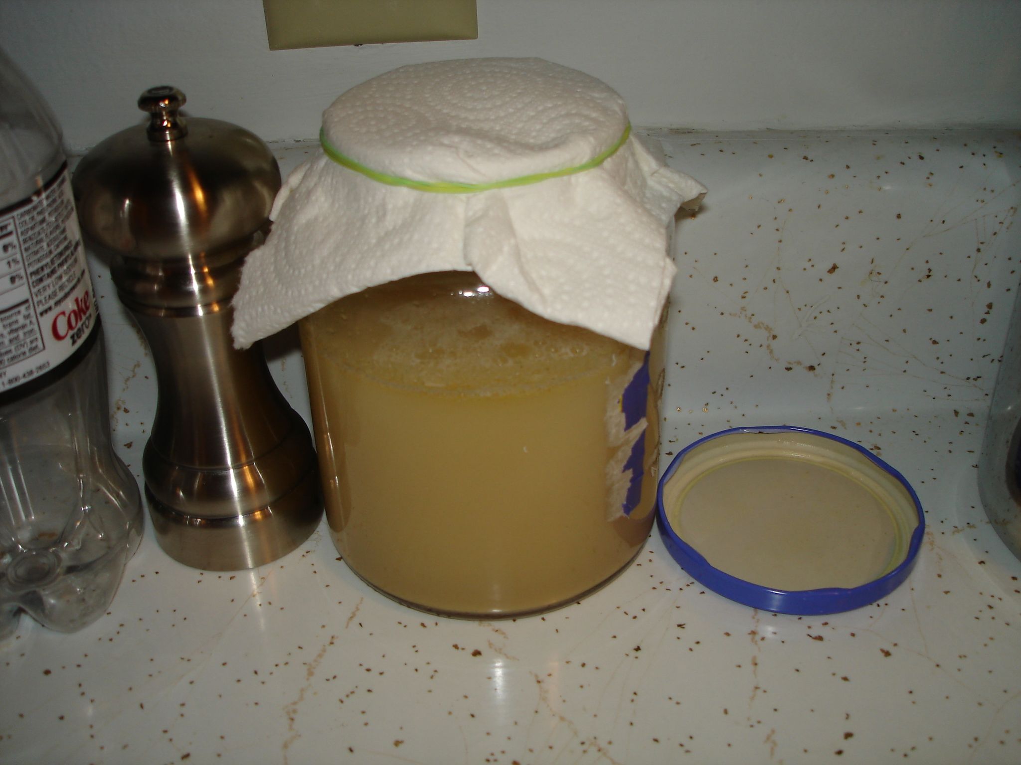 Ginger Beer Alcoholic Version 5 Steps Instructables