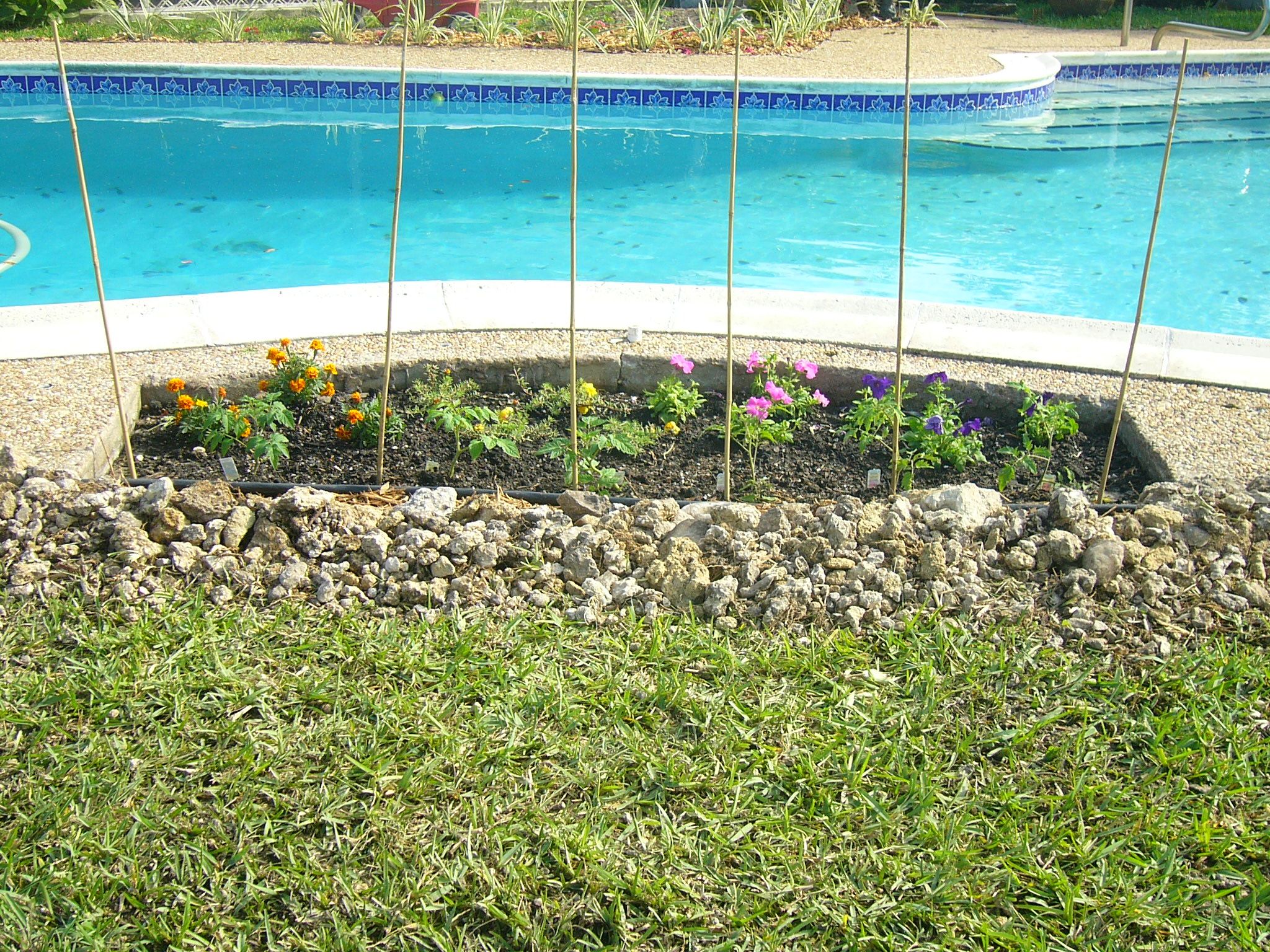 Dirt Garden 14 Steps (with Pictures) Instructables