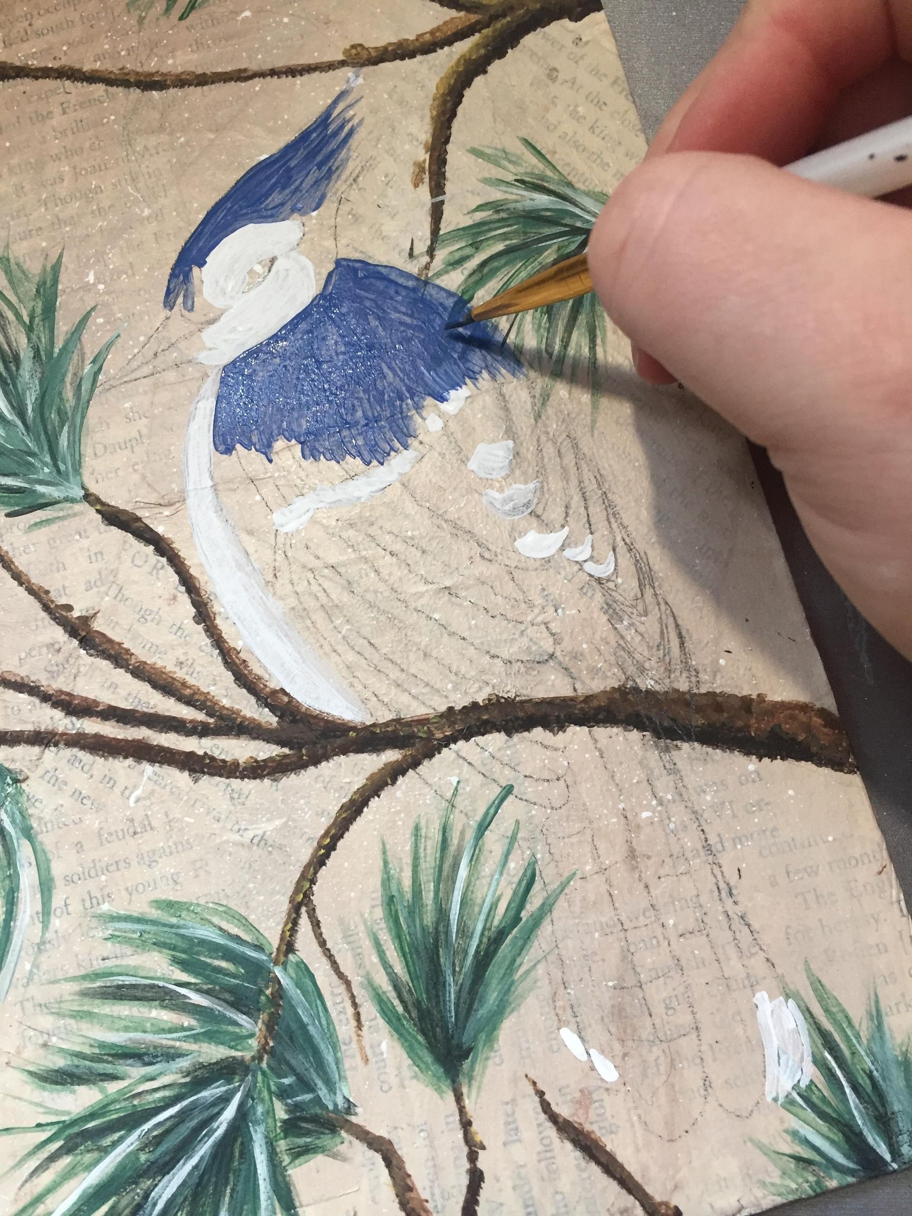 How to Paint a Blue Jay on a Branch. 13 Steps (with Pictures