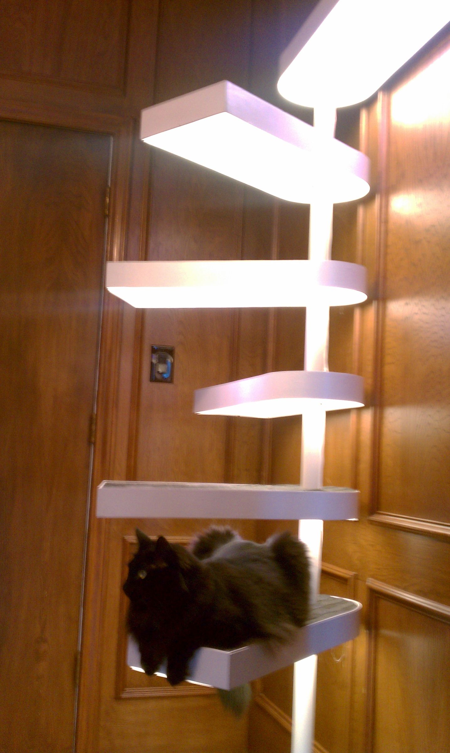 Cat Staircase Deluxe 25 Steps (with Pictures) Instructables