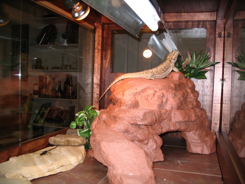 Make a Fake Rock Cave/basking Spot for a Reptile Cage. 10 Steps (with