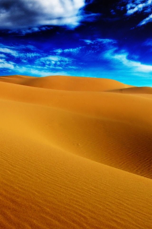 DIY guide for DIY Screen Protector with step-by-step instructions