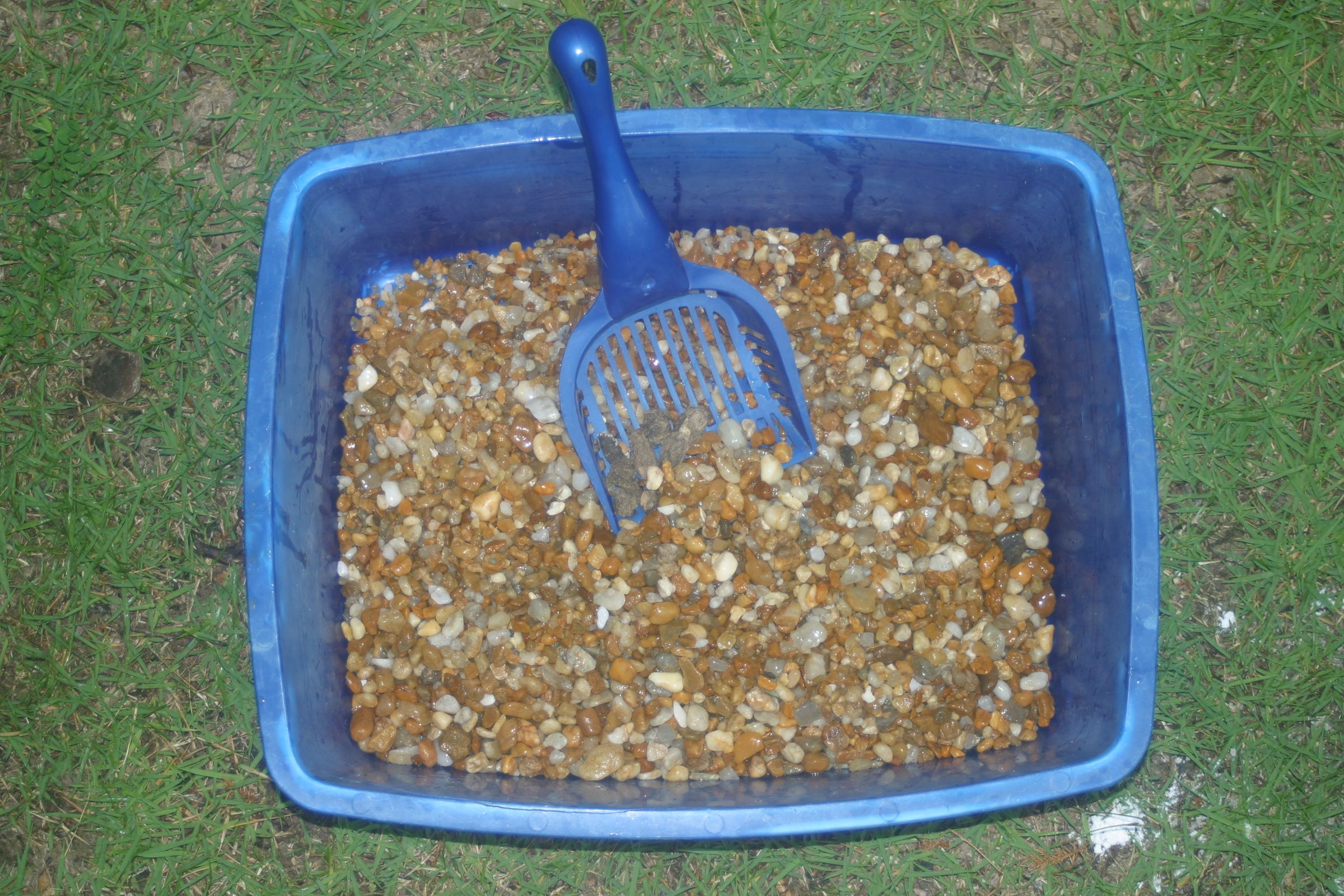 The Green Pee Cat Litter System 9 Steps Instructables