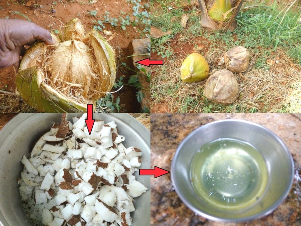 How to Make Coconut Oil From Scratch : 11 Steps (with Pictures How to Make Coconut Oil From Scratch : 11 Steps (with Pictures