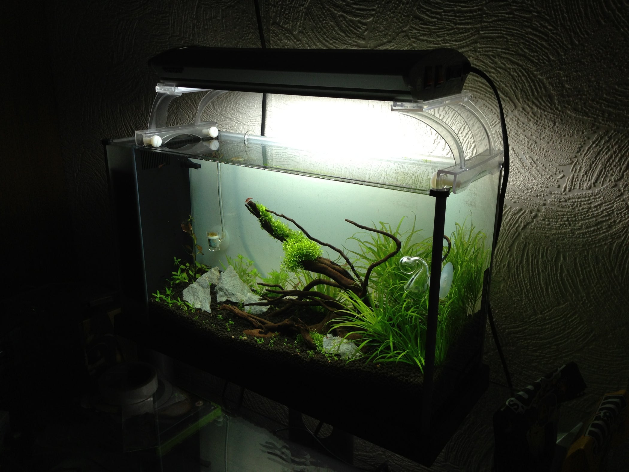 Home Made Fish Tank Decoration : 4 Steps - Instructables