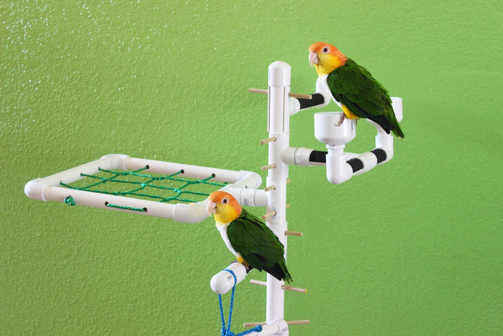 Diy Bird Stand 8 Steps With Pictures Instructables - Diy Bird Perch Stand Diy Bird Stand 8 Steps With Pictures Instructables - Diy Bird Perch Stand